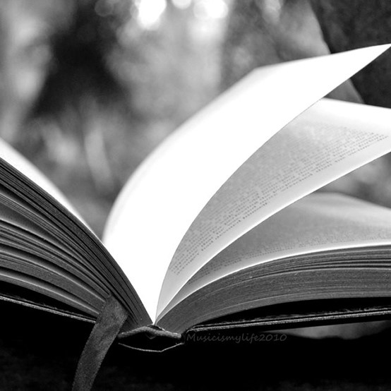 Professional Book Trailer Services